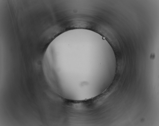 X0000102490309200808081335