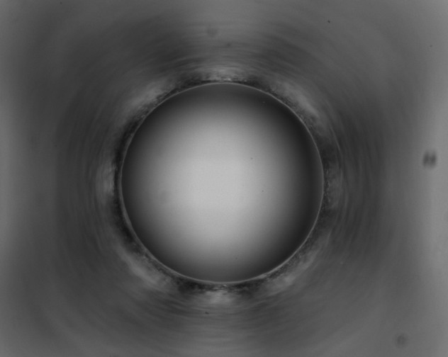X0000102490310200808081335
