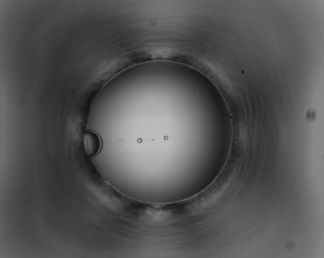 X0000102490311200808081335