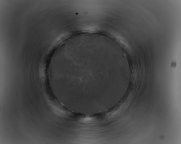 X0000102490312200808081335