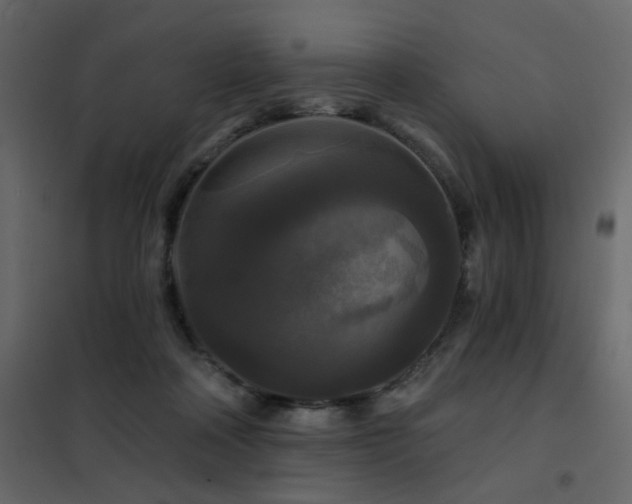 X0000102490314200808081335