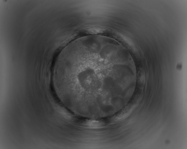 X0000102490315200808081335