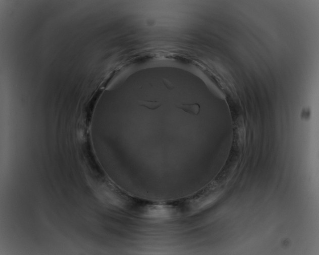 X0000102490316200808081335