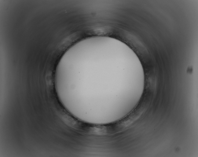 X0000102490317200808081335