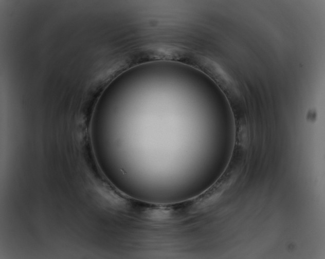 X0000102490318200808081335
