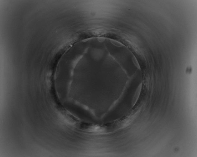 X0000102490319200808081335