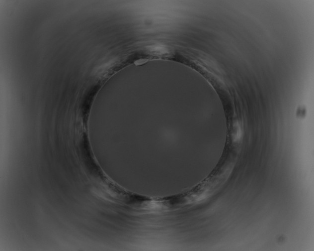 X0000102490320200808081335