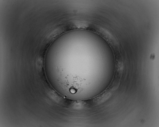 X0000102490321200808081335