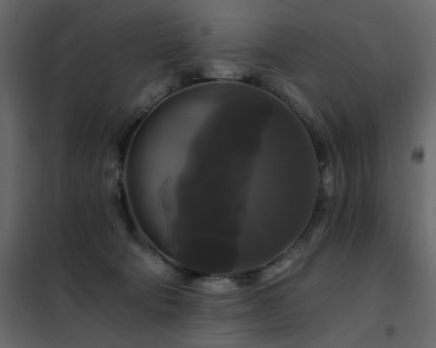 X0000102490322200808081335