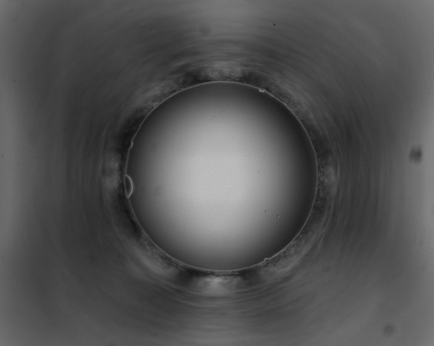 X0000102490323200808081335