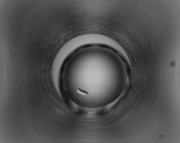 X0000102490324200808081335