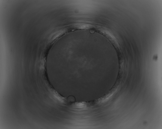 X0000102490325200808081335