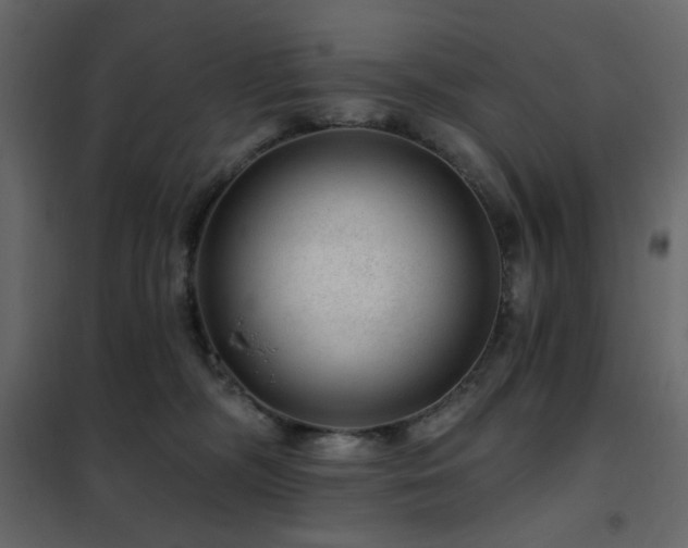X0000102490326200808081335