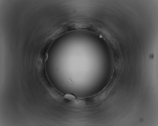 X0000102490327200808081335