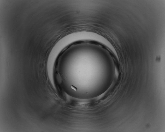 X0000102490328200808081335