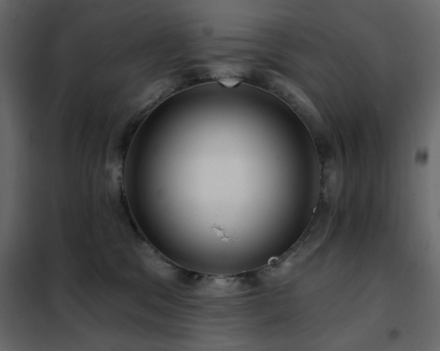 X0000102490329200808081335