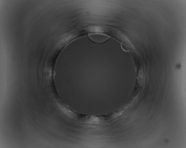 X0000102490330200808081335