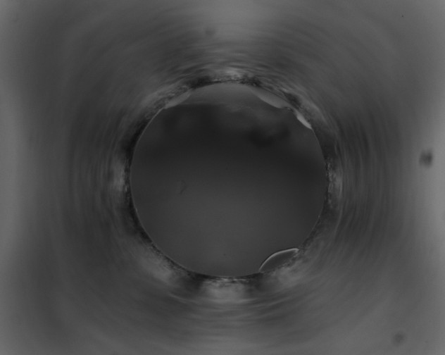 X0000102490331200808081335