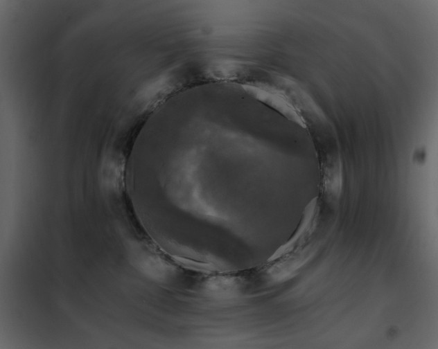 X0000102490332200808081335