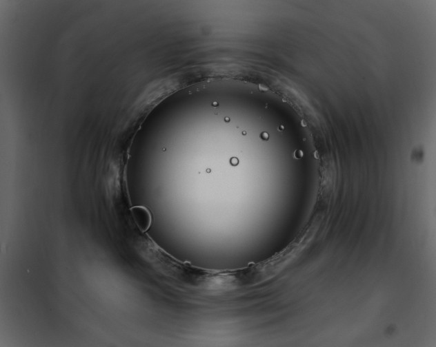X0000102490333200808081335