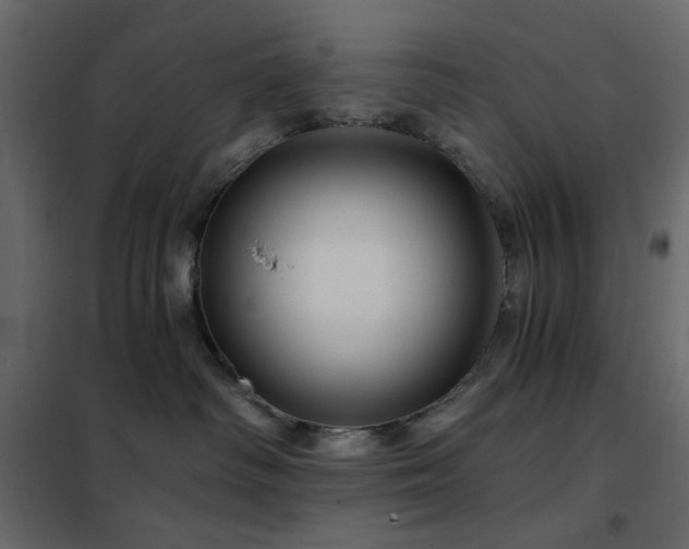 X0000102490334200808081335
