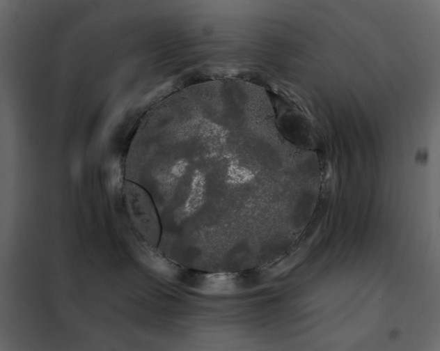 X0000102490335200808081335