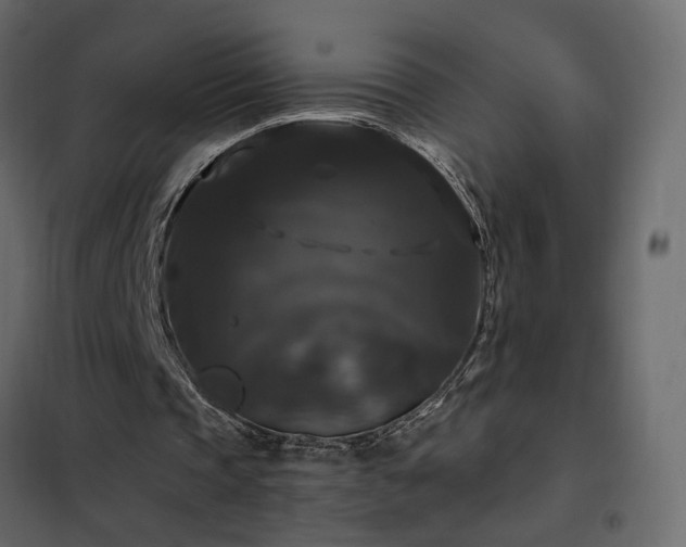 X0000102490337200808081334