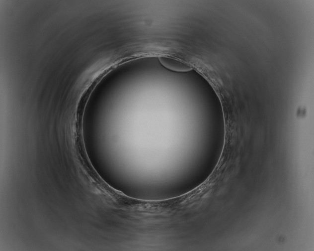 X0000102490338200808081334