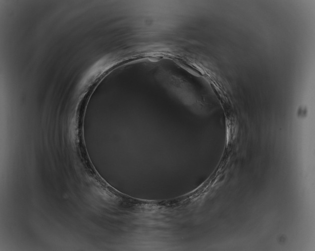 X0000102490339200808081334