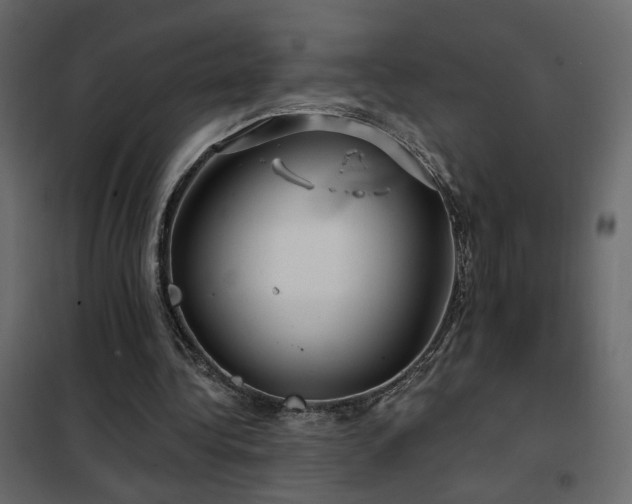 X0000102490340200808081334