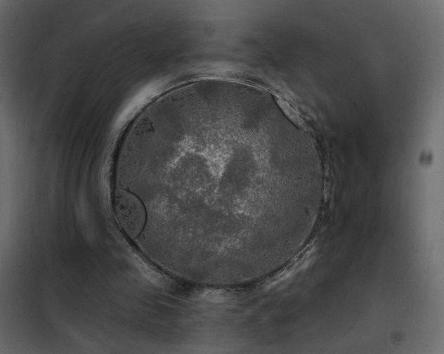 X0000102490341200808081334
