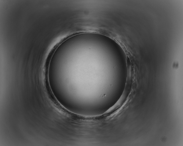 X0000102490342200808081334
