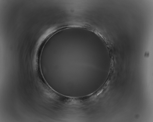 X0000102490343200808081334