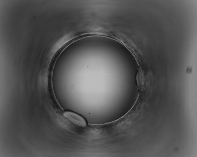 X0000102490344200808081334