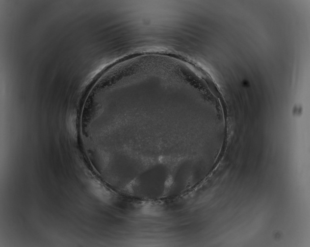 X0000102490345200808081334