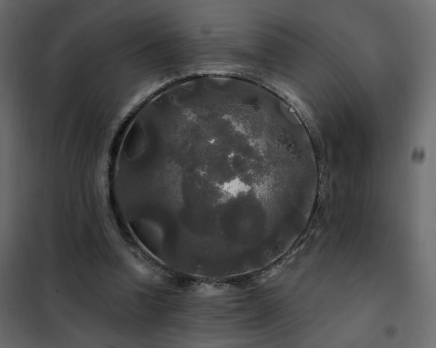 X0000102490346200808081334