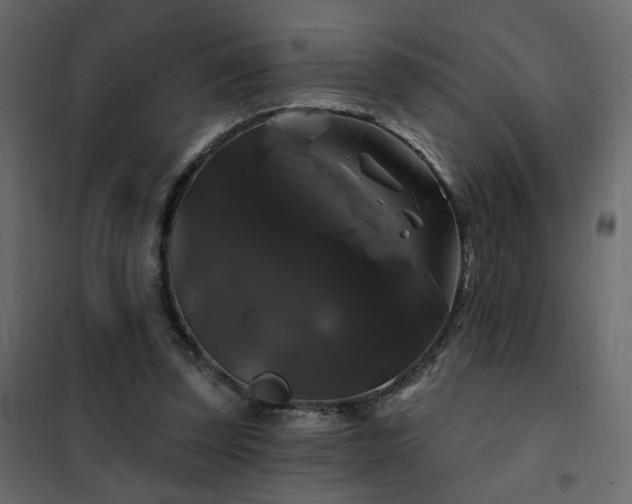 X0000102490347200808081334