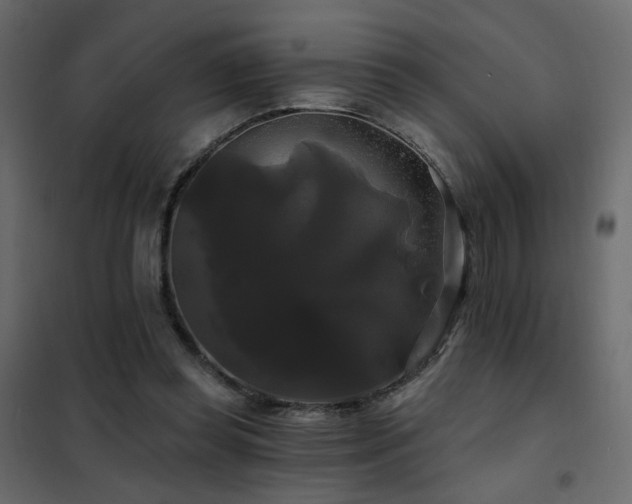 X0000102490349200808081334