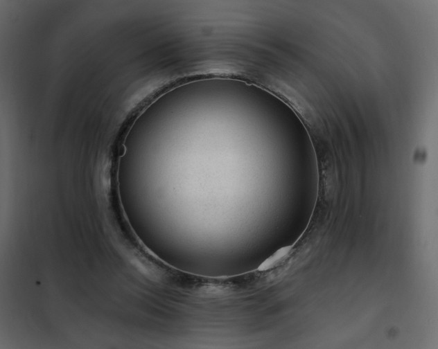 X0000102490350200808081334