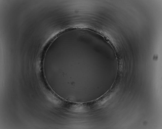 X0000102490351200808081334