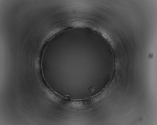 X0000102490353200808081334