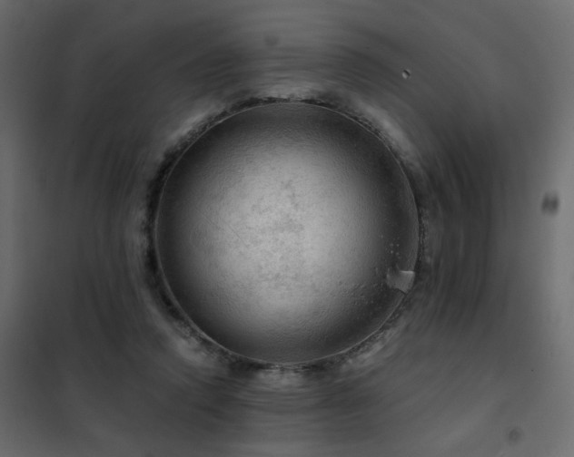 X0000102490354200808081334