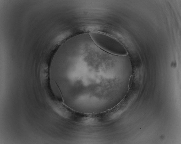 X0000102490356200808081334