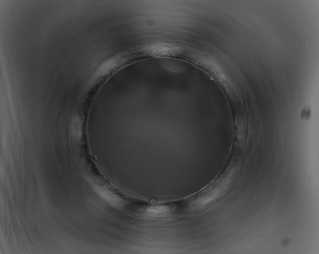 X0000102490357200808081334