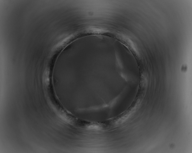 X0000102490358200808081334