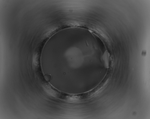 X0000102490359200808081334