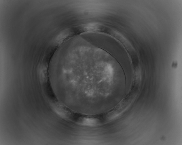 X0000102490360200808081334