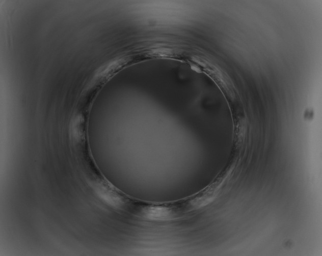 X0000102490361200808081334