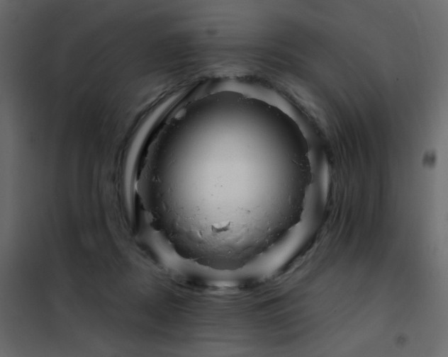 X0000102490362200808081334