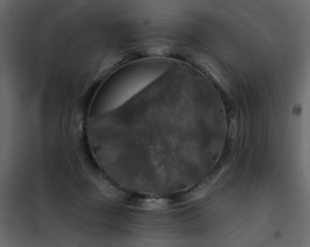 X0000102490363200808081334